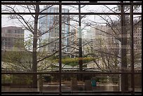 View and reflection through window, Crow Collection. Dallas, Texas, USA ( color)