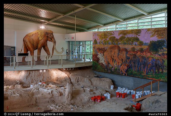 Dig shelter with life-size mammoth painting. Waco Mammoth National Monument, Texas, USA (color)