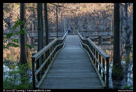 Pier, Saw Mill Pond, Caddo Lake State Park. Texas, USA