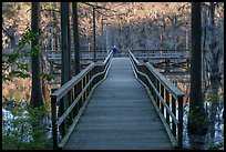 Pier, Saw Mill Pond, Caddo Lake State Park. Texas, USA ( color)