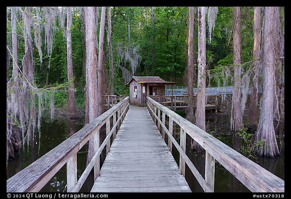 Boardwalk and boathouse, Caddo Lake State Park. Texas, USA