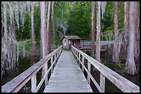 Boardwalk and boathouse, Caddo Lake State Park. Texas, USA ( color)
