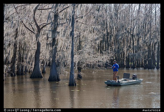 Fisherman, Caddo Lake. Texas, USA