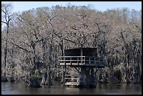 Treehouse, Caddo Lake. Texas, USA ( color)