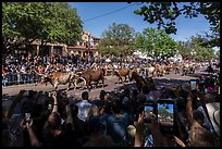 Tourists line up street for cow parade. Fort Worth, Texas, USA ( color)