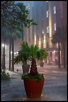 Night downpour in downtown. San Antonio, Texas, USA ( color)