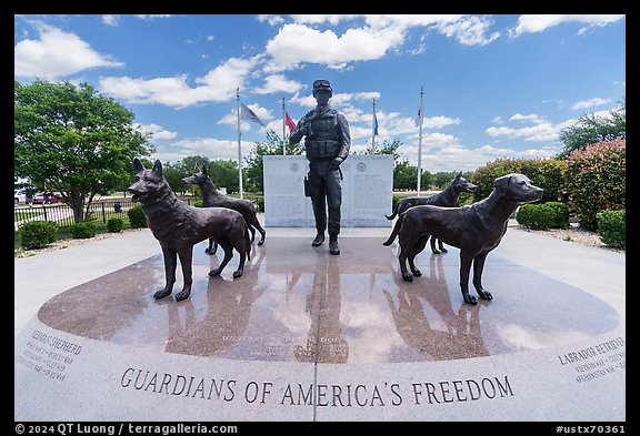 Doberman Pinscher, German Shepherd, Labrador Retrieverm, and Belgian Malinois surround dog handler, Military Working Dog Teams National Monument. San Antonio, Texas, USA (color)