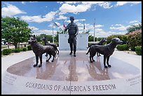 Doberman Pinscher, German Shepherd, Labrador Retrieverm, and Belgian Malinois surround dog handler, Military Working Dog Teams National Monument. San Antonio, Texas, USA ( color)