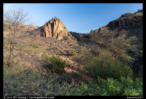 Desert canyon with volcanic rock outcrops, dry brush, Davis Mountains State Park. Texas, USA (color)