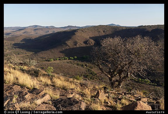 Open desert valley from a rocky overlook, bare tree in the foreground, Davis Mountains State Park. Texas, USA (color)