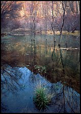 Calf Creek Canyon and reflections. Utah, USA (color)