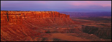 Canyon and cliffs at sunset. Bears Ears National Monument, Utah, USA (Panoramic color)