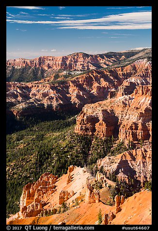 Deep geologic amphitheater from Point Supreme. Cedar Breaks National Monument, Utah, USA (color)