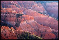 View from Chessmen Ridge Overlook. Cedar Breaks National Monument, Utah, USA ( color)