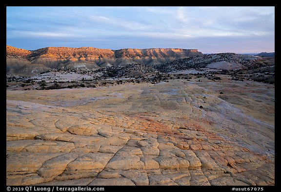 Looking down cross-bedded sandstone from Yellow Rock. Grand Staircase Escalante National Monument, Utah, USA (color)