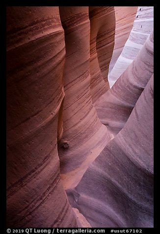 Sandstone with colorful striations, Zebra Slot Canyon. Grand Staircase Escalante National Monument, Utah, USA