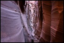 Walls streaked with pink and white stripes, Zebra Slot Canyon. Grand Staircase Escalante National Monument, Utah, USA ( color)