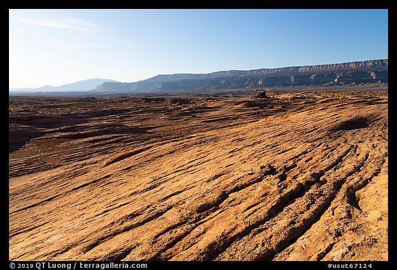 Sandstone slickrock, Straight Cliffs, and Navajo Mountain. Grand Staircase Escalante National Monument, Utah, USA