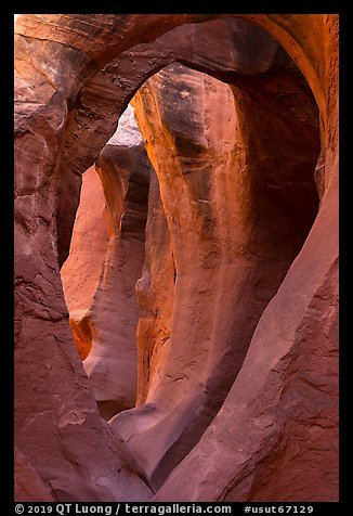 Large arches in Peek-a-Boo slot canyon. Grand Staircase Escalante National Monument, Utah, USA (color)