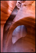 Small arch, Peek-a-Boo slot canyon. Grand Staircase Escalante National Monument, Utah, USA ( color)