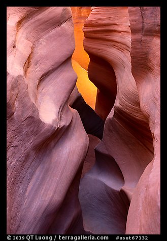 Sculpted walls, Peek-a-Boo slot canyon. Grand Staircase Escalante National Monument, Utah, USA