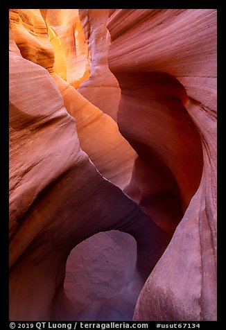 Sculpted sandstone walls and small arch, Peek-a-Boo slot canyon. Grand Staircase Escalante National Monument, Utah, USA