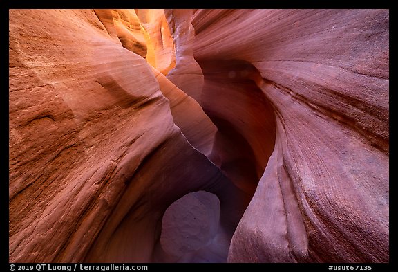 Sculpted walls and arch, Peek-a-Boo slot canyon, Dry Fork Coyote Gulch. Grand Staircase Escalante National Monument, Utah, USA (color)