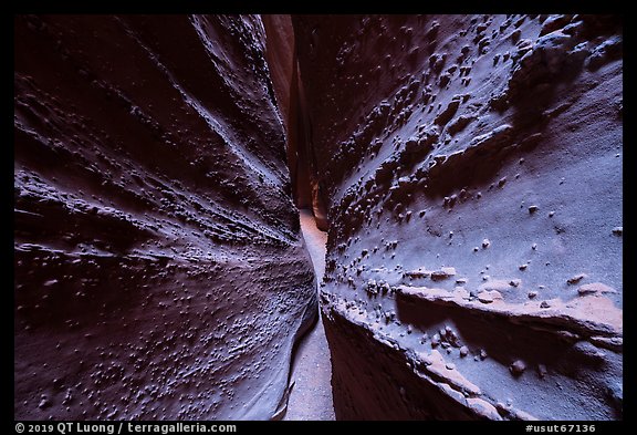 Walls textured with knobs, Spooky slot canyon. Grand Staircase Escalante National Monument, Utah, USA