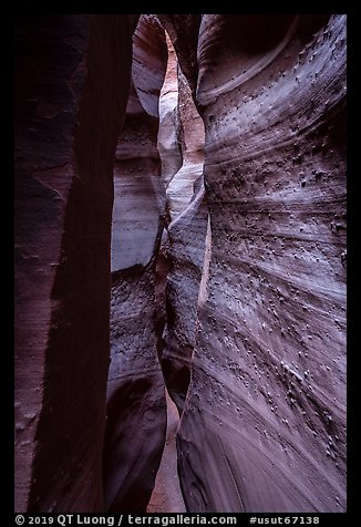 Textured walls, Spooky slot canyon, Dry Fork Coyote Gulch. Grand Staircase Escalante National Monument, Utah, USA