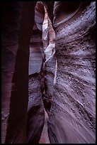 Textured walls, Spooky slot canyon, Dry Fork Coyote Gulch. Grand Staircase Escalante National Monument, Utah, USA ( color)