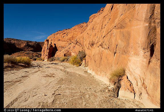 Coyote Gulch dry creek bed. Grand Staircase Escalante National Monument, Utah, USA
