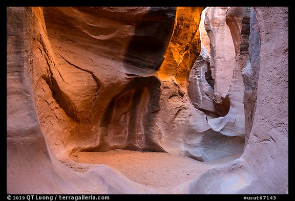 Chamber, Peek-a-Boo slot canyon, Dry Fork Coyote Gulch. Grand Staircase Escalante National Monument, Utah, USA