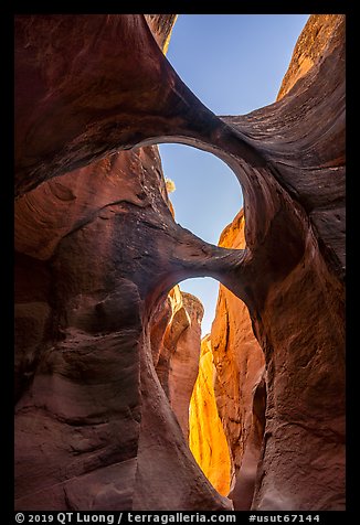 Double arches and sky, Peek-a-Boo slot canyon. Grand Staircase Escalante National Monument, Utah, USA