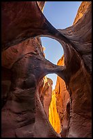 Double arches and sky, Peek-a-Boo slot canyon. Grand Staircase Escalante National Monument, Utah, USA ( color)