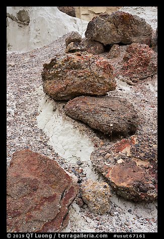 Rocks and siltstone. Grand Staircase Escalante National Monument, Utah, USA
