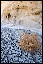 Dried mud, tumbleweed, and cliff. Grand Staircase Escalante National Monument, Utah, USA ( color)