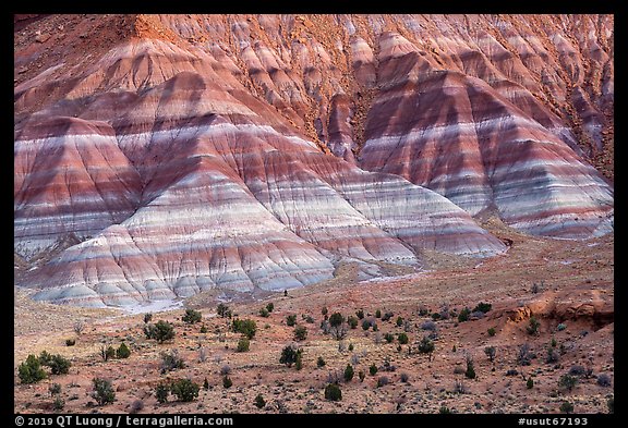 Colorful badlands of Chinle formation, Old Paria. Grand Staircase Escalante National Monument, Utah, USA