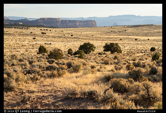 Hatch Point Plateau. Bears Ears National Monument, Utah, USA (color)