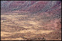 Distant detail, Valley of the Goods floor and cliffs. Bears Ears National Monument, Utah, USA ( color)