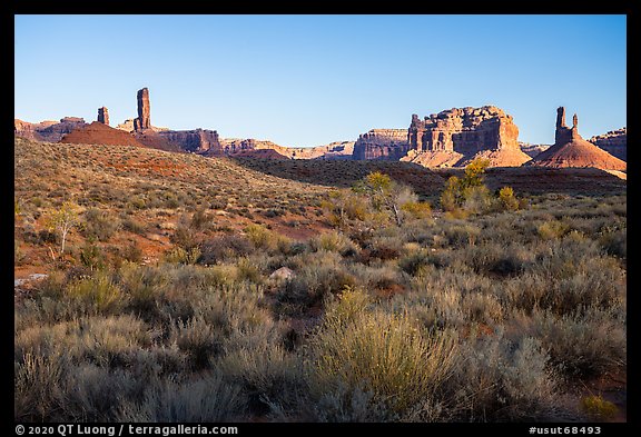 Desert vegetation, butte and spires, Valley of the Gods. Bears Ears National Monument, Utah, USA