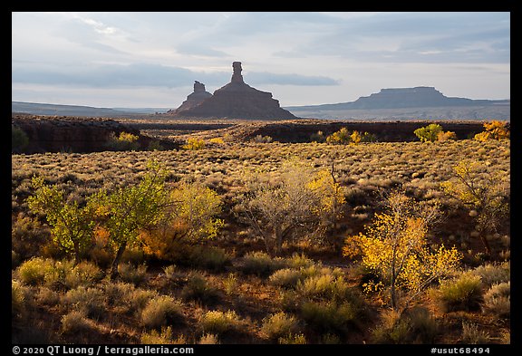 Autumn foliage and spires, Valley of the Gods. Bears Ears National Monument, Utah, USA