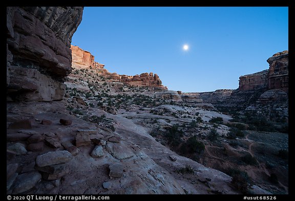 Bullet Canyon and moon at twilight. Bears Ears National Monument, Utah, USA (color)