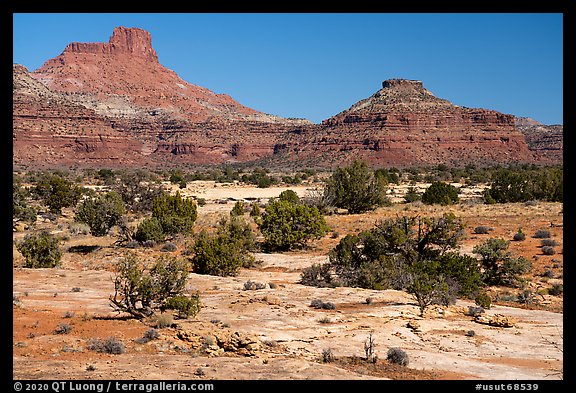 Slickrock and buttes, Soldiers Crossing. Bears Ears National Monument, Utah, USA