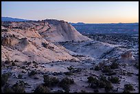 Slickrock at dawn near Heads of the Rocks. Grand Staircase Escalante National Monument, Utah, USA ( color)