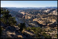 Canyons from Hogback Ridge. Grand Staircase Escalante National Monument, Utah, USA ( color)