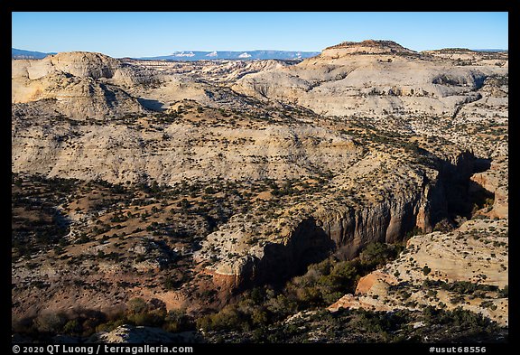 Sandstone canyons and domes from Hogback Ridge. Grand Staircase Escalante National Monument, Utah, USA (color)