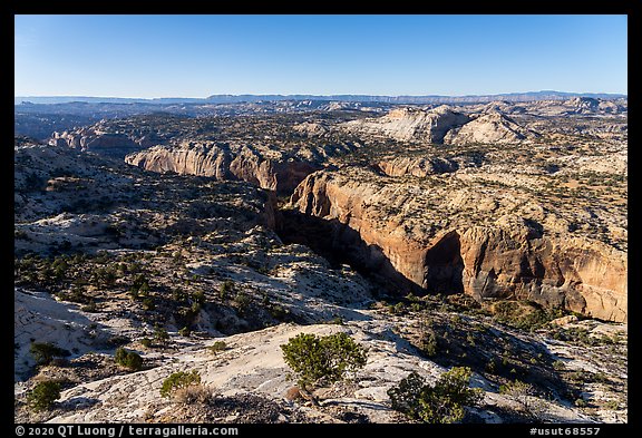 Slickrock and canyons from Hogback Ridge. Grand Staircase Escalante National Monument, Utah, USA (color)