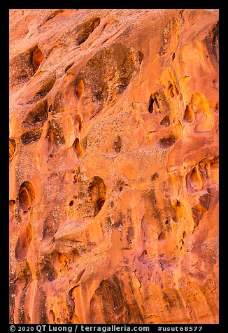 Holes in Kayenta Sandstone cliffs, Long Canyon. Grand Staircase Escalante National Monument, Utah, USA