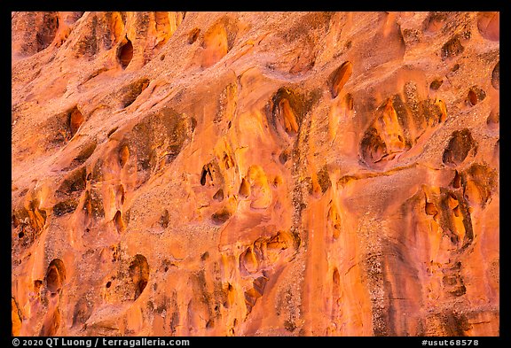 Cliff with holes, Long Canyon. Grand Staircase Escalante National Monument, Utah, USA