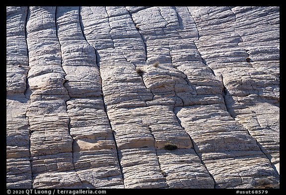 Crossbedded Navajo Sandstone, Burr Trail. Grand Staircase Escalante National Monument, Utah, USA (color)